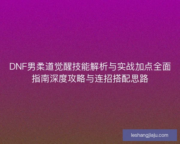 DNF男柔道觉醒技能解析与实战加点全面指南深度攻略与连招搭配思路